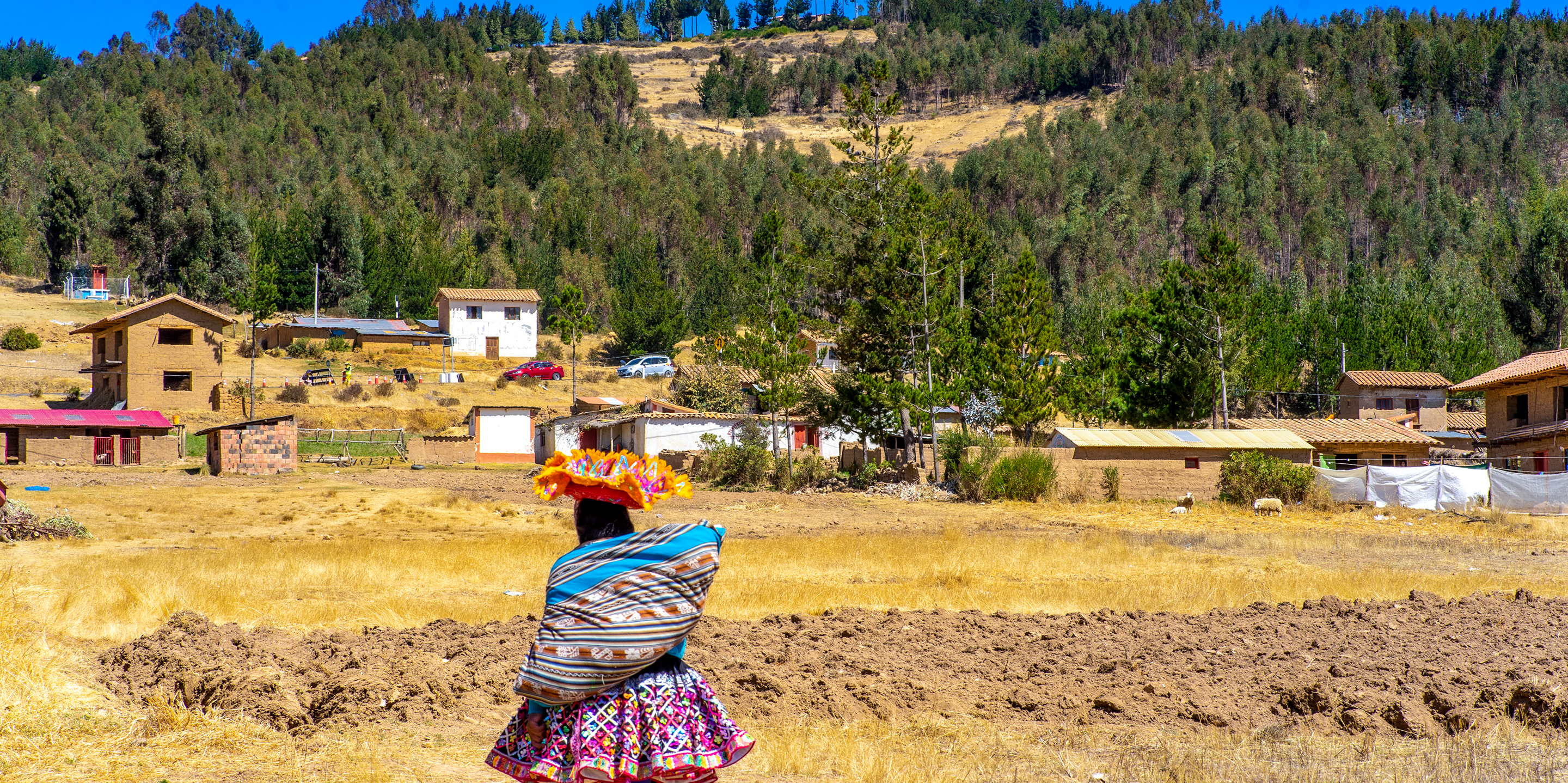 Comunidad andina en paisaje rural