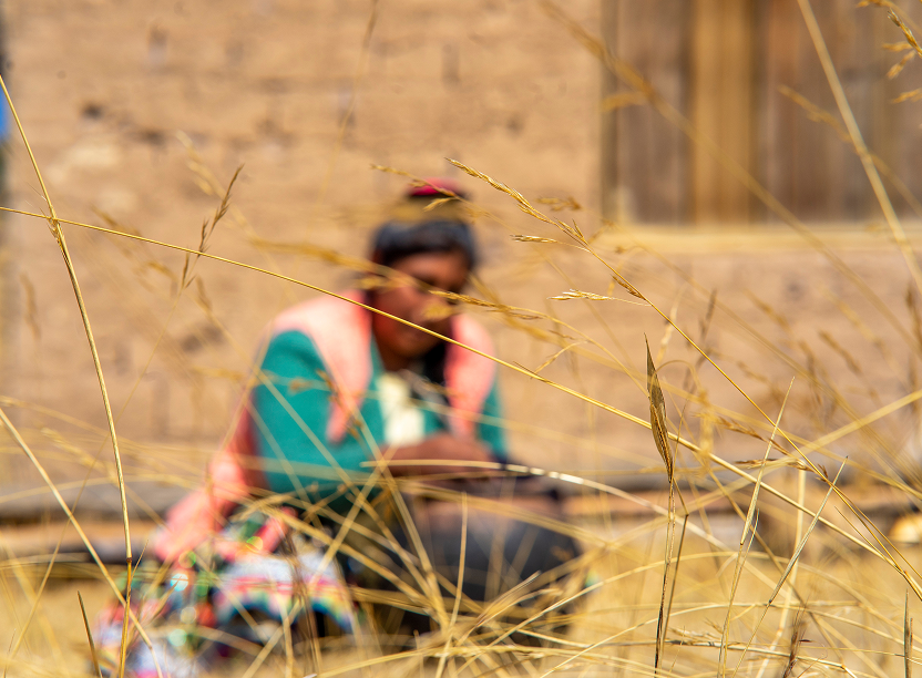 Mujer andina en campo de cultivo
